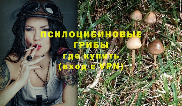 спиды Алзамай